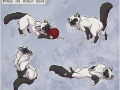 birman_cat_stickers_comission_by_teh_aguara-d4j6z29.png